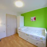 شقة Nelkas بولا